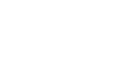 FLY Racing